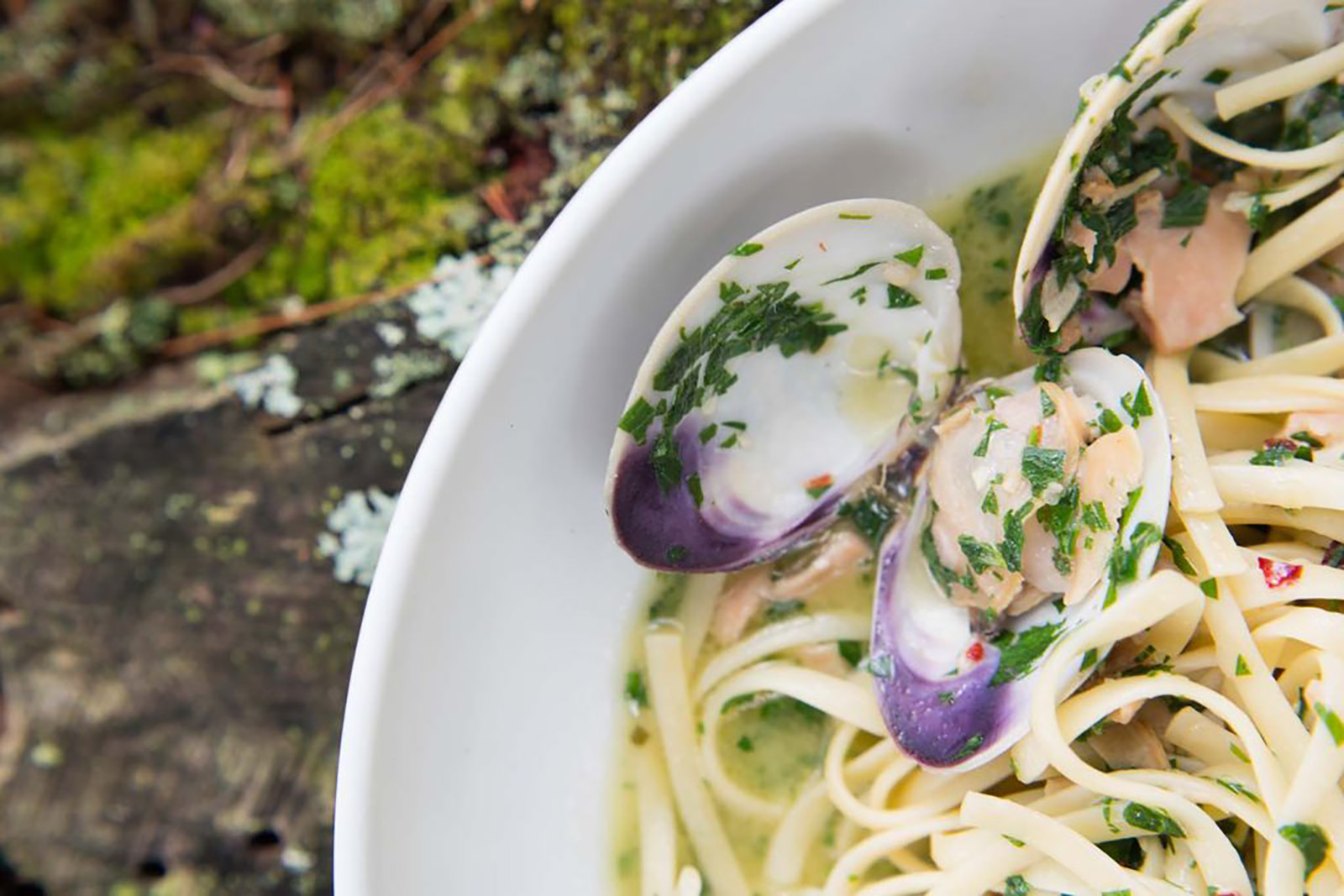 Walkers Maine Cape Neddick Restaurant