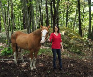 Danielle Walker | Johnson Farm, Cape Neddick ME