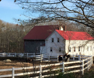 Johnson Farm, Cape Neddick ME